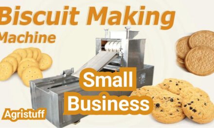 Biscuit Making Machine for Small Business: Capacity, Power Needs, and Payback