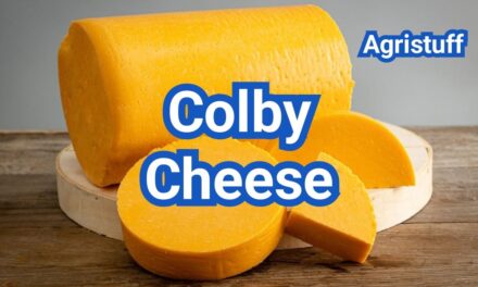 What is Colby Cheese? Flavor, Texture & How It Differs From Cheddar