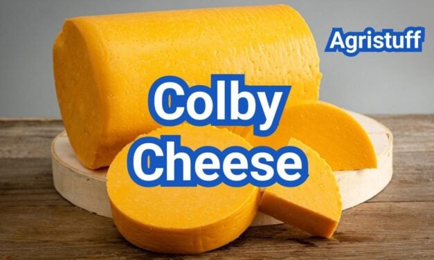 What is Colby Cheese? Flavor, Texture & How It Differs From Cheddar