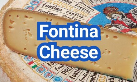 What is Fontina Cheese? Meltability, Flavor And Best Recipes
