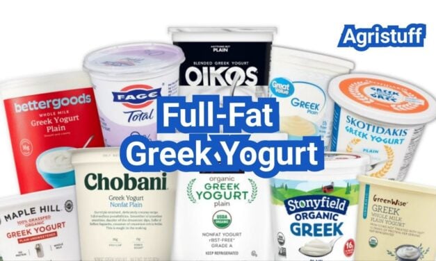 Full Fat Greek Yogurt: Satiety, Flavor, and Best Uses