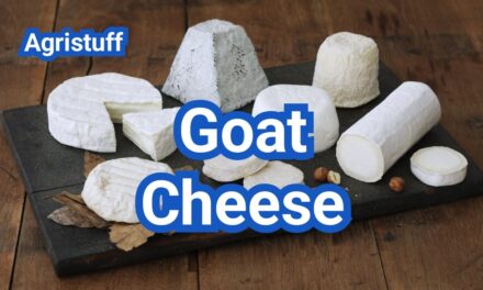 Goat Cheese: Flavor, Texture, and Best Pairings