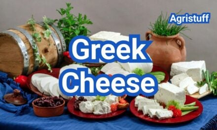 Greek Cheese List: Beyond Feta—Popular Types and Uses