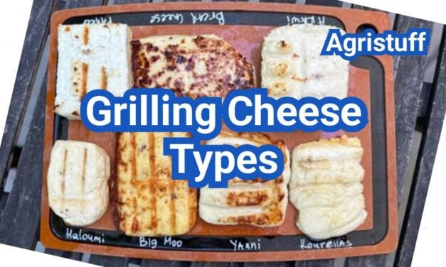 What Is Grilling Cheese? Best Types, How It Stays Firm, and How to Cook It Right