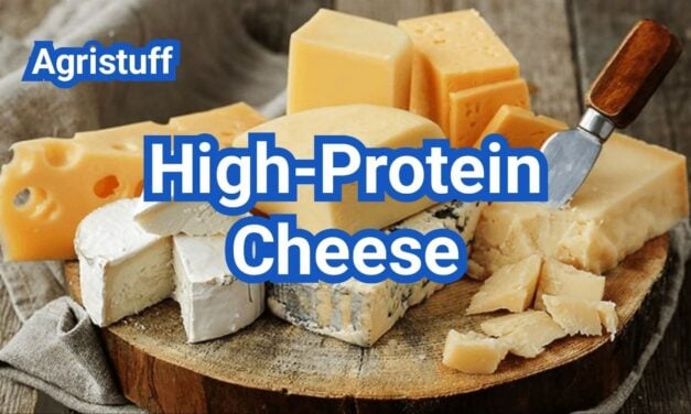 High-Protein Cheese List: Which Types Give You the Most Protein?
