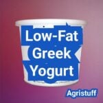 Low Fat Greek Yogurt: A Balanced Middle Ground for Taste and Nutrition