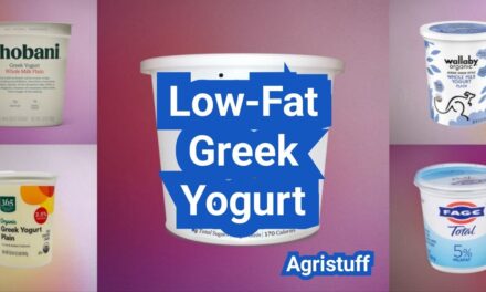 Low Fat Greek Yogurt: A Balanced Middle Ground for Taste and Nutrition