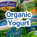 What is Organic Yogurt? Ingredients, Certifications & Uses