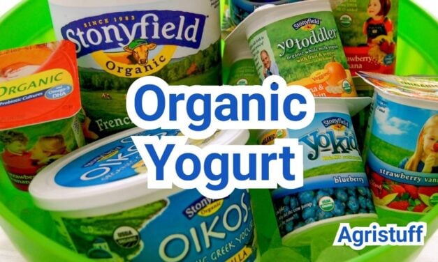 What is Organic Yogurt? Ingredients, Certifications & Uses
