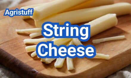 String Cheese: How It’s Made and Is It a Good Snack?