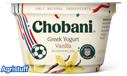 Vanilla Greek Yogurt: Protein, Sweetness, and What to Buy