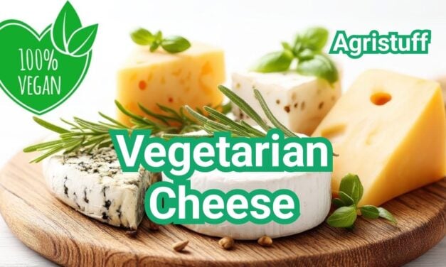 What is Vegetarian Cheese? Animal Rennet vs Vegetarian Rennet