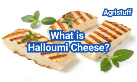 What Is Halloumi Cheese? Why It Doesn’t Melt & Best Uses