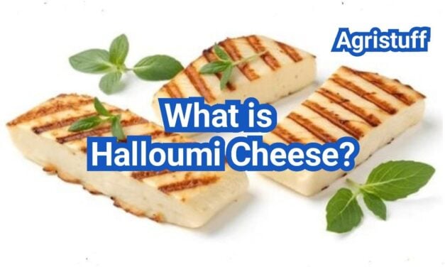 What Is Halloumi Cheese? Why It Doesn’t Melt & Best Uses