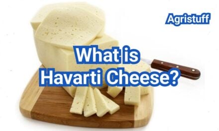What Is Havarti Cheese? Flavor, Texture And Best Uses