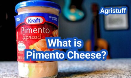 What Is Pimento Cheese? Why Americans Love It and Best Uses