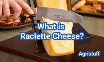What Is Raclette Cheese? How It Melts, What It Tastes Like & Best Uses
