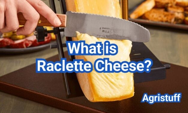 What Is Raclette Cheese? How It Melts, What It Tastes Like & Best Uses