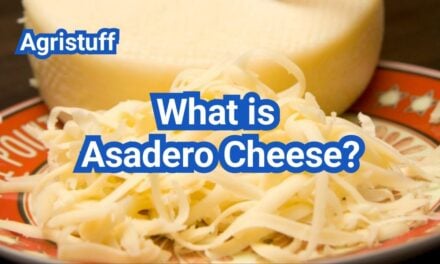 What is Asadero Cheese? Stretch, Melt & Best Cooking Uses