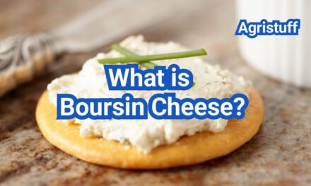 Boursin Cheese: Flavor, Texture, and How to Serve It