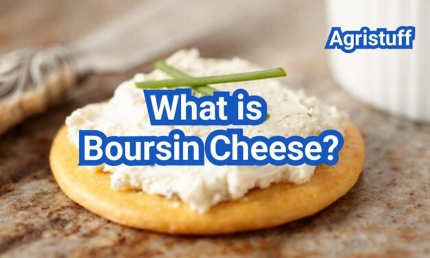 Boursin Cheese: Flavor, Texture, and How to Serve It