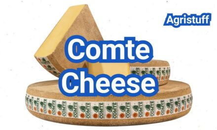 What is Comté Cheese? Nutty Flavor, Aging & Pairing Ideas