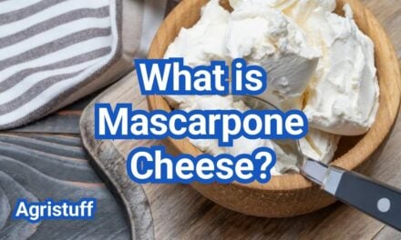 What Is Mascarpone? How It Differs From Cream Cheese & How to Use It