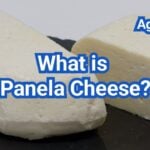 What is Panela Cheese? Fresh Texture, Salt Level & How to Use It