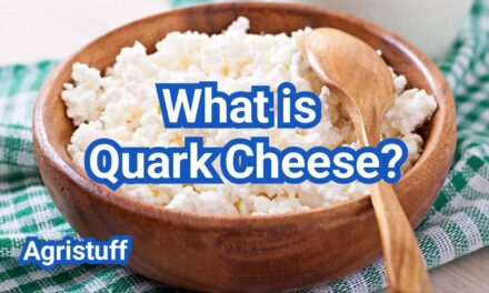 What is Quark Cheese? and How Americans Use It