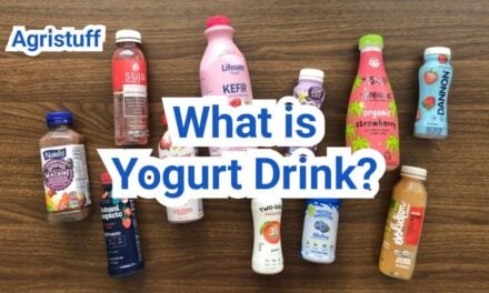 What is Yogurt Drink? How It’s Made and Who Buys It
