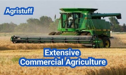 Extensive Commercial Agriculture: Meaning, Characteristics & Examples