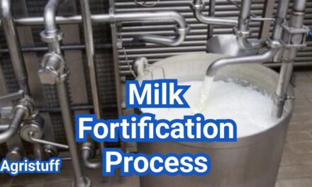 Milk Fortification Process: How Vitamins A & D Are Added