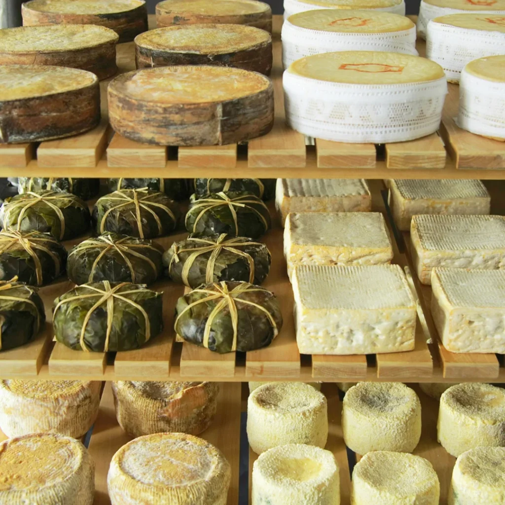 Semi Soft Cheese storage
